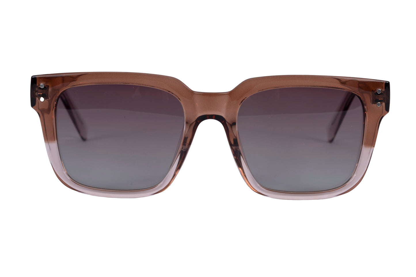 VS0081